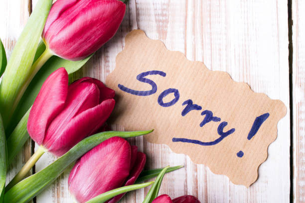 ดอกไม้แทนคำขอโทษ