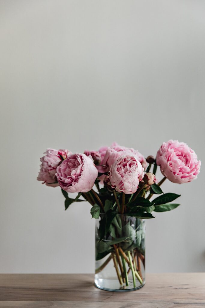 ดอกไม้แต่งบ้าน โบตั๋น