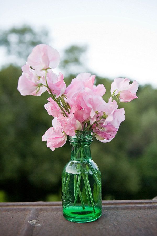 ดอกไม้สีชมพู สวีทพี
